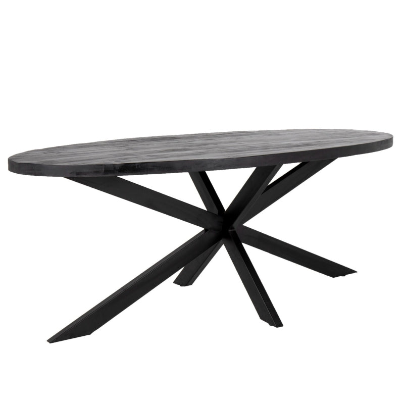 Eettafel Ovaal Mangohout Zwart Matrix 160